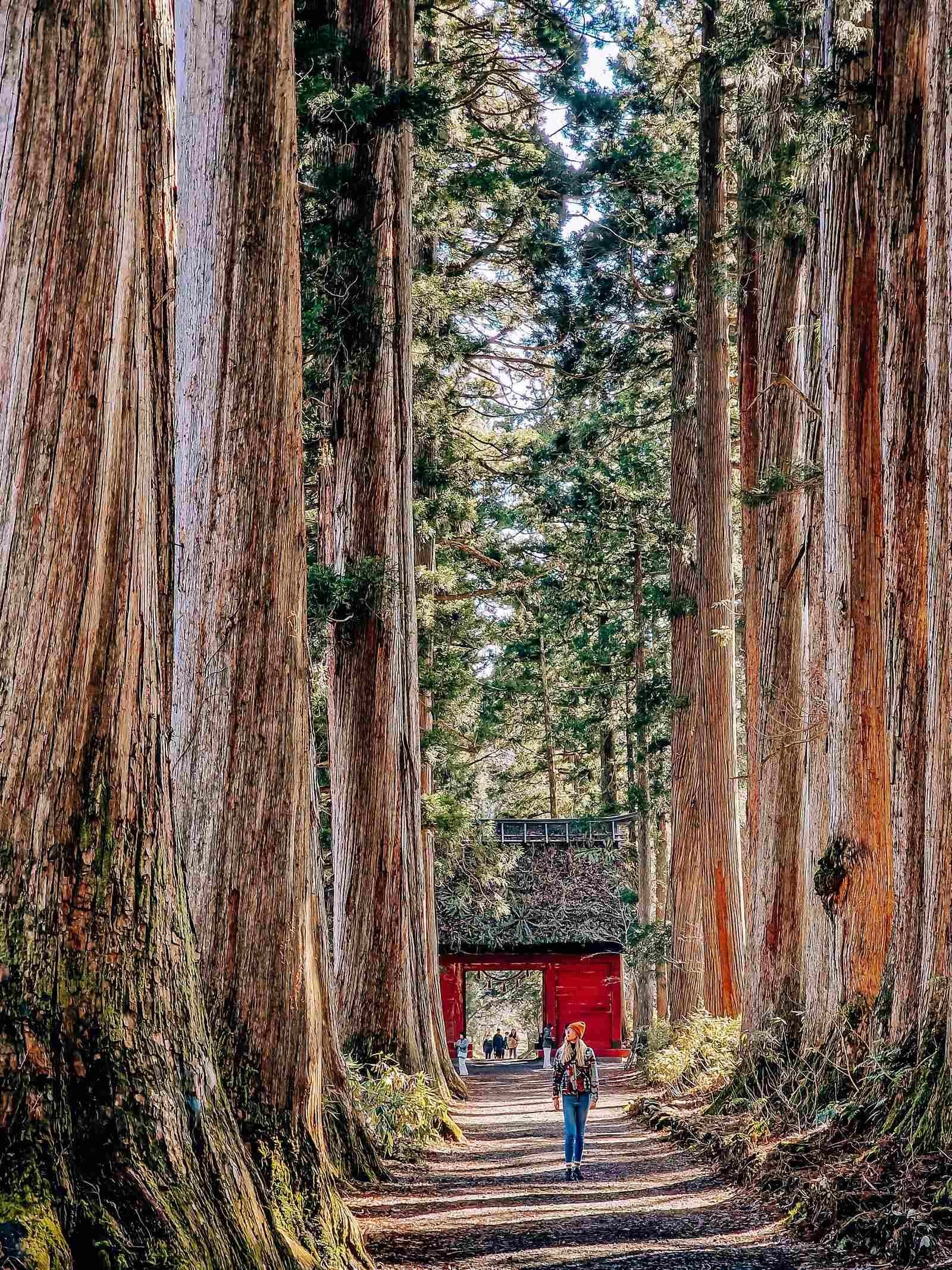 ⛩️ 나가노 신사(나가노 에비스) 이미지 2